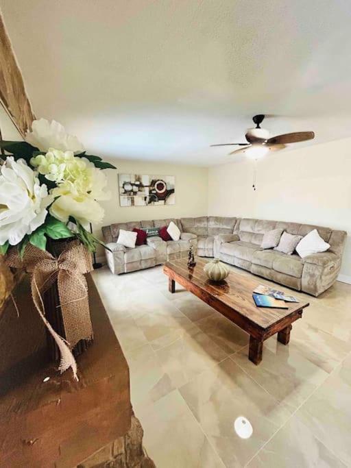 Vintage Family Scape + Heated Pool&Discount Villa Tampa Eksteriør bilde