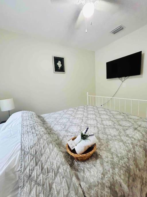 Vintage Family Scape + Heated Pool&Discount Villa Tampa Eksteriør bilde