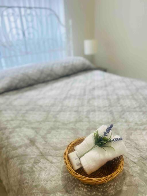 Vintage Family Scape + Heated Pool&Discount Villa Tampa Eksteriør bilde